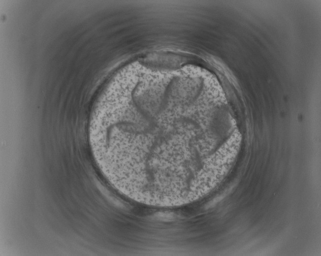 X0000081470441200702092344