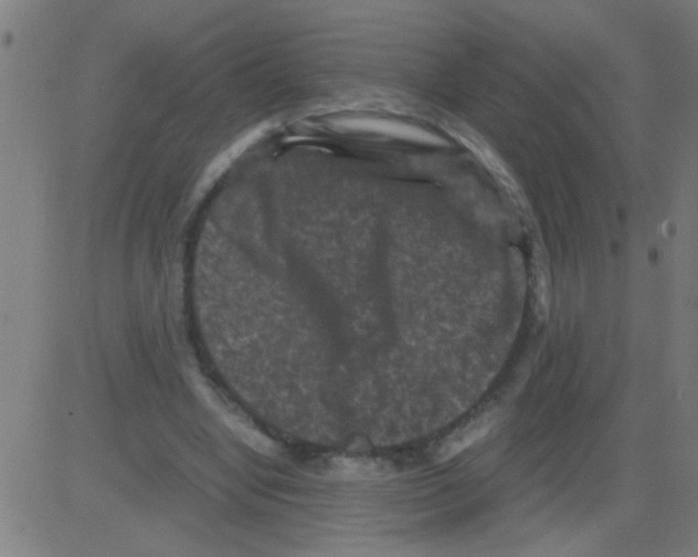 X0000081470442200702092344