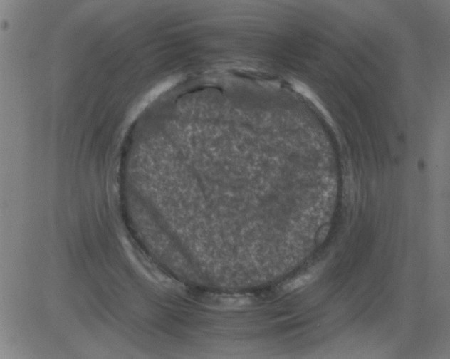 X0000081470443200702092344