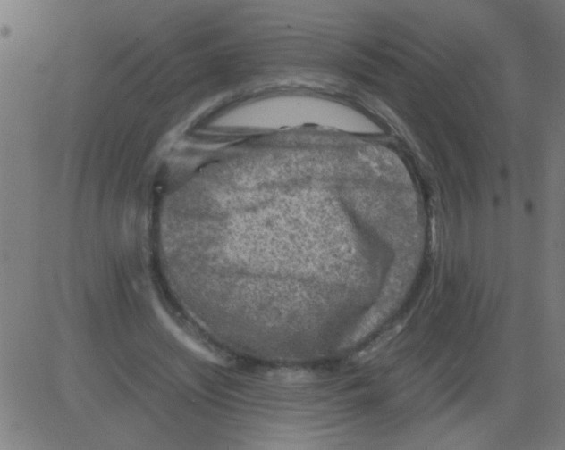 X0000081470444200702092344