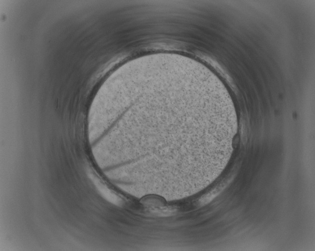 X0000081470445200702092344