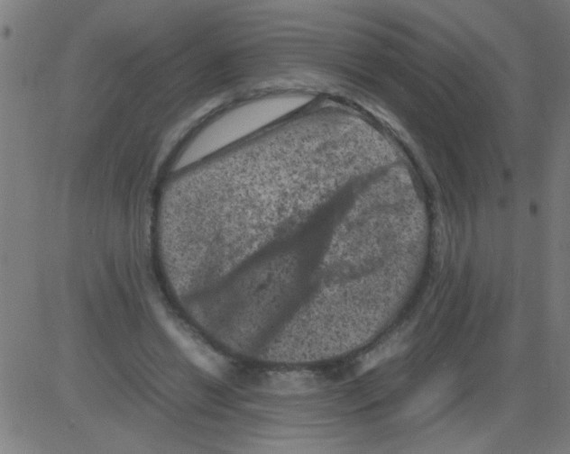 X0000081470446200702092344