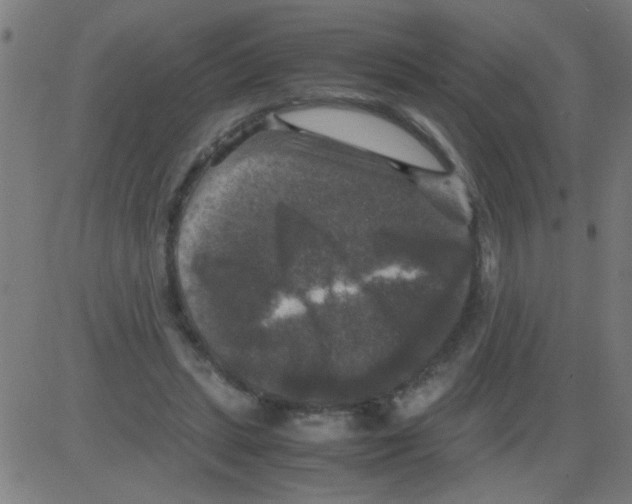 X0000081470447200702092344