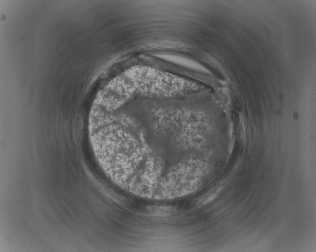 X0000081470448200702092344