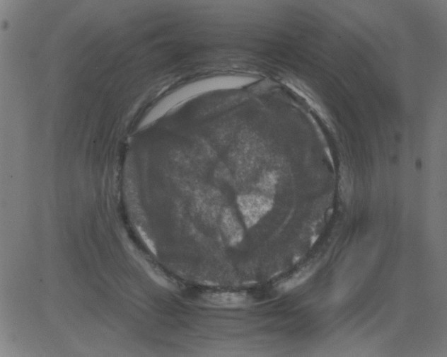 X0000081470449200702092344