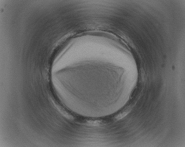 X0000081470450200702092344