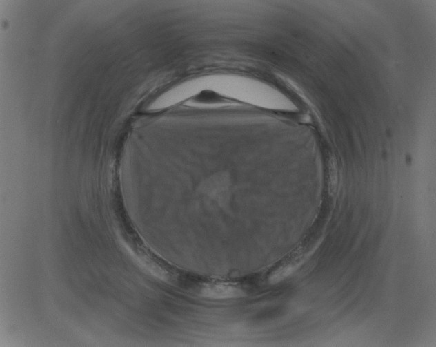 X0000081470451200702092344