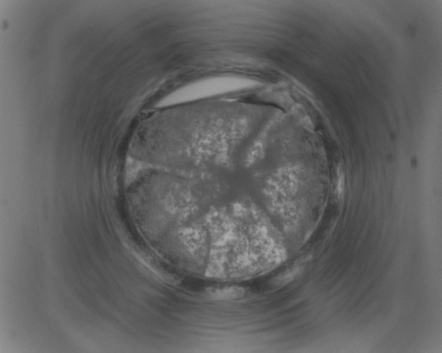 X0000081470452200702092344