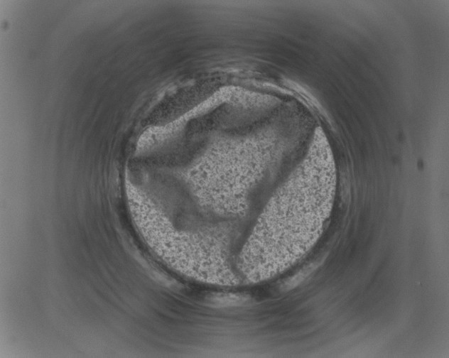 X0000081470453200702092344