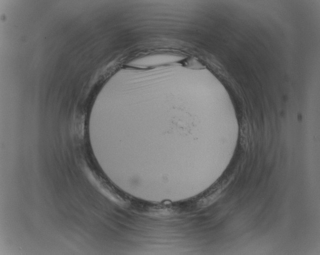 X0000081470454200702092344