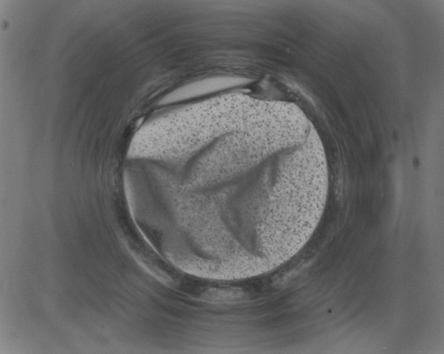 X0000081470455200702092344