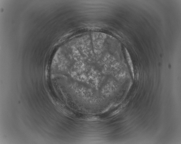 X0000081470456200702092344