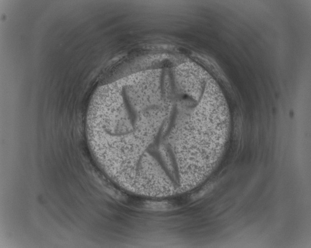 X0000081470457200702092344