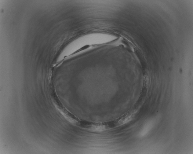 X0000081470458200702092344