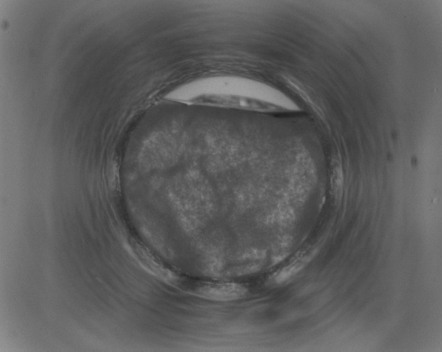 X0000081470459200702092344