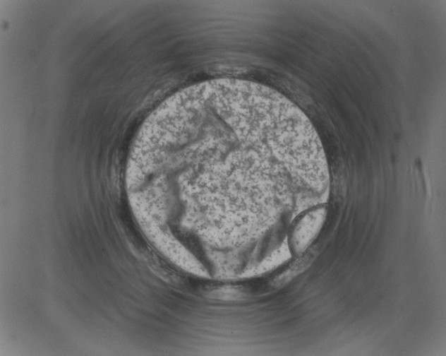 X0000081470460200702092344