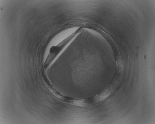 X0000081470462200702092344