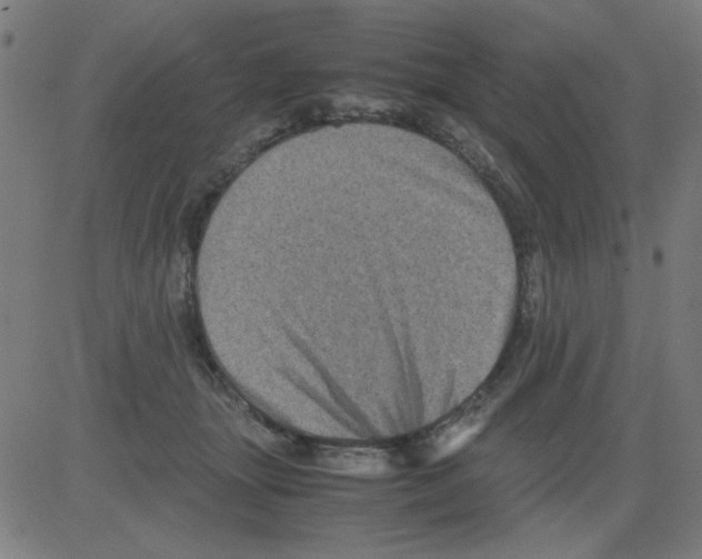 X0000081470463200702092344