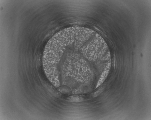 X0000081470464200702092344