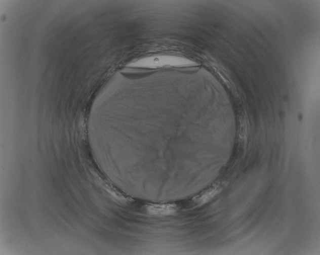 X0000081470465200702092344