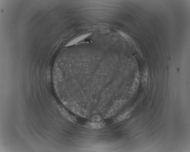 X0000081470466200702092344