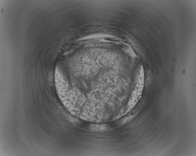 X0000081470469200702092344