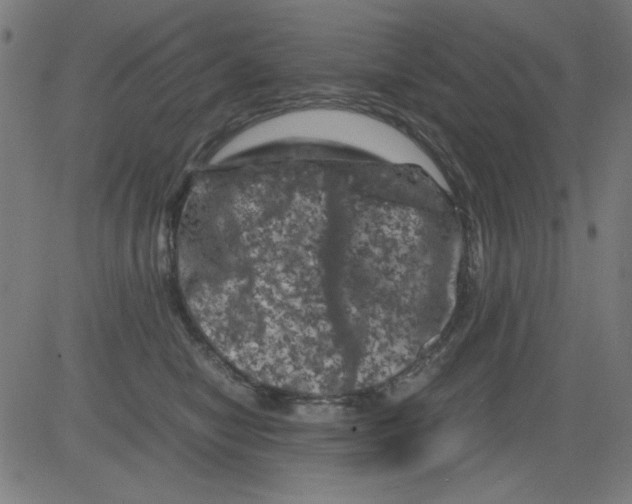 X0000081470470200702092344