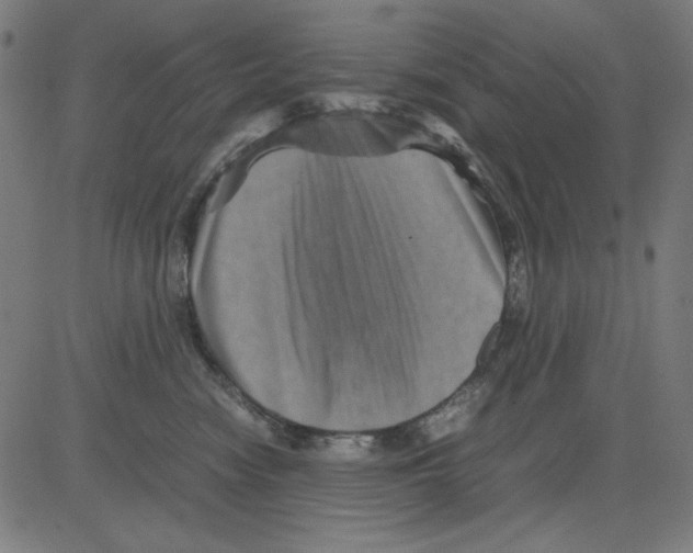 X0000081470474200702092344