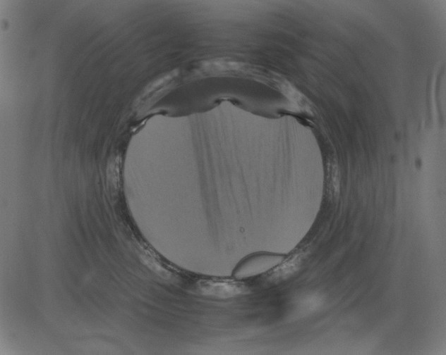 X0000081470475200702092344