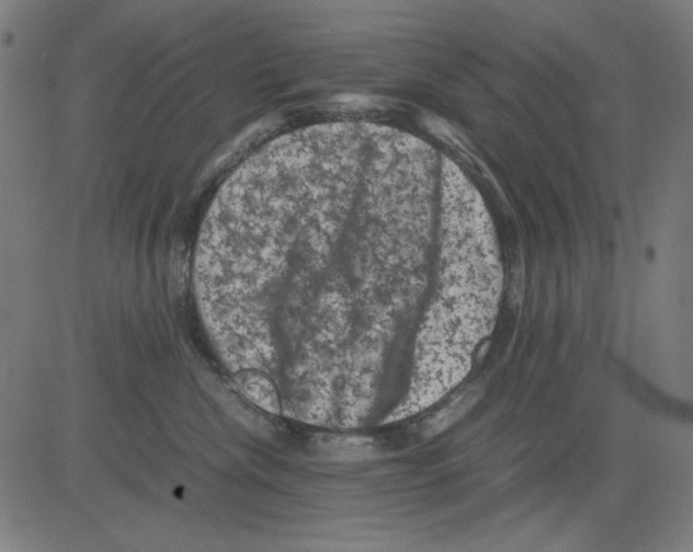 X0000081470476200702092344