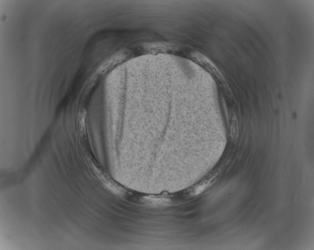 X0000081470477200702092344