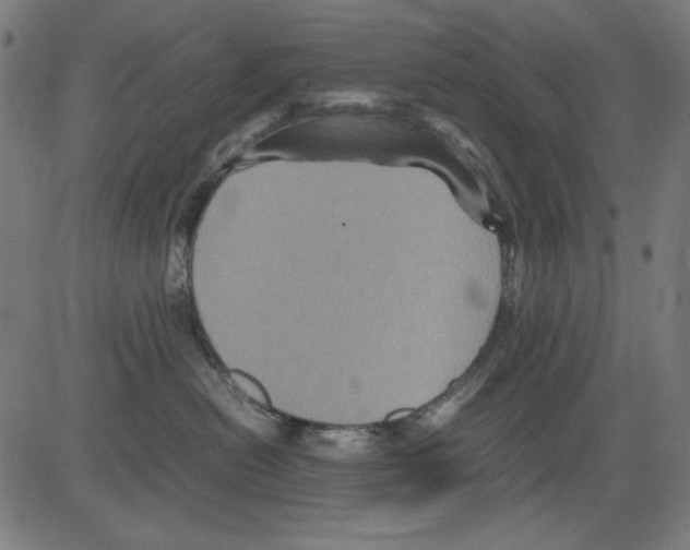 X0000081470478200702092344