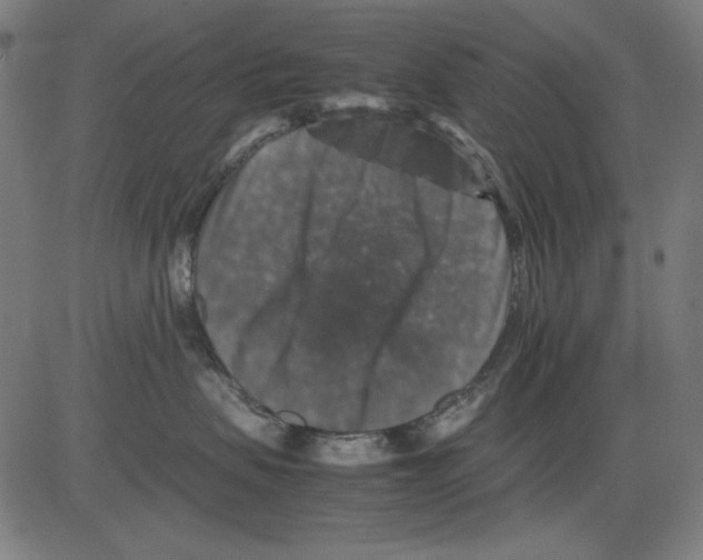 X0000081470479200702092344