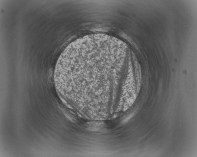 X0000081470480200702092344