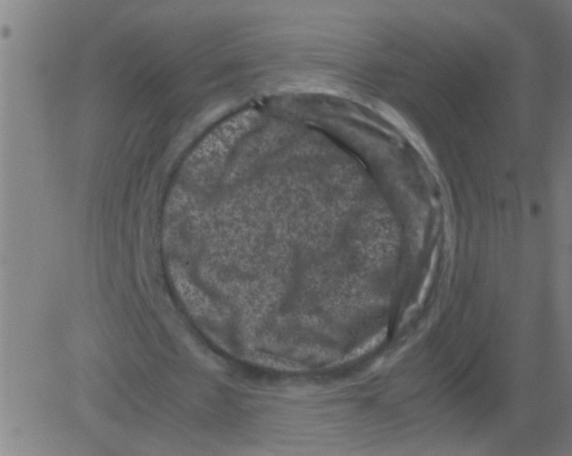 X0000081470481200702092344