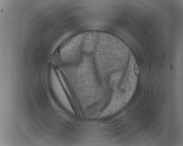 X0000081470482200702092344