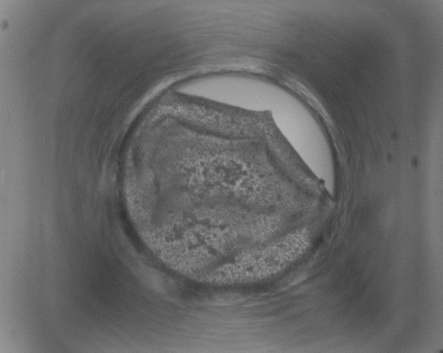 X0000081470483200702092344