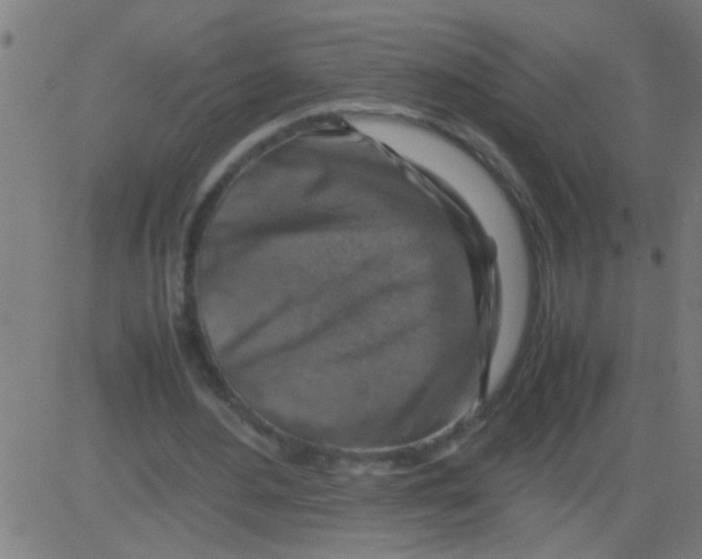 X0000081470484200702092344