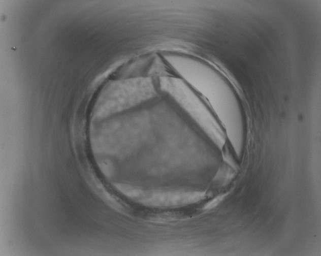 X0000081470485200702092343