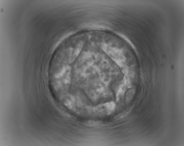 X0000081470487200702092343