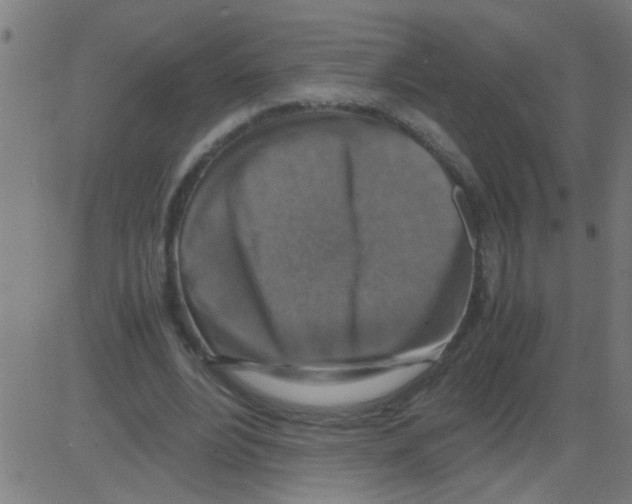 X0000081470488200702092343