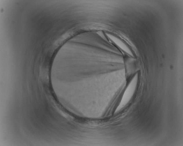 X0000081470489200702092343