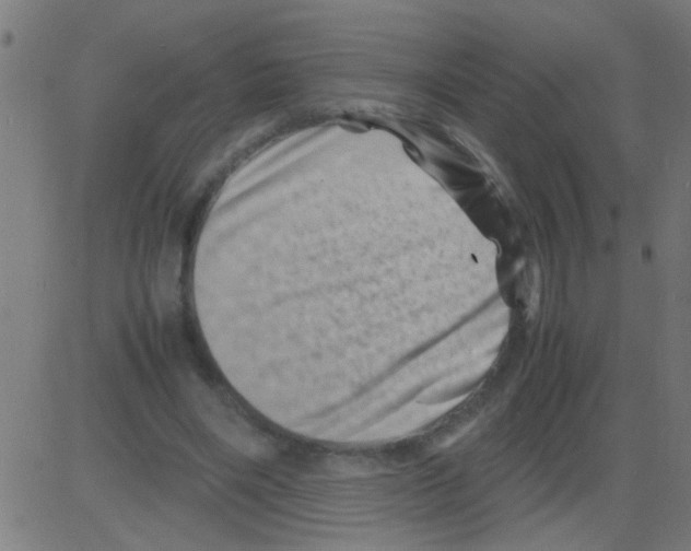 X0000081470490200702092343