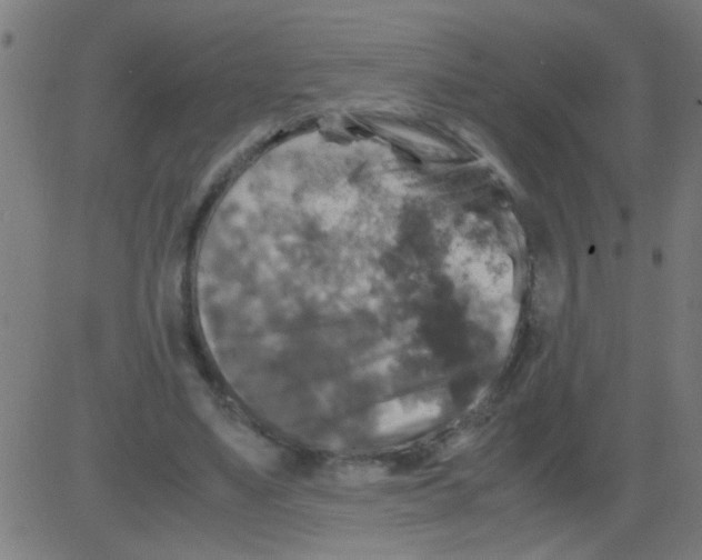 X0000081470491200702092343