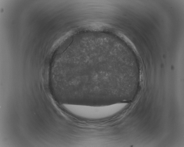 X0000081470493200702092343