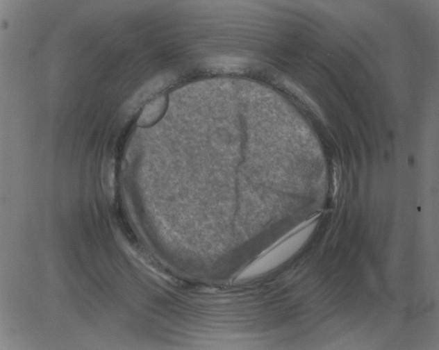 X0000081470494200702092343