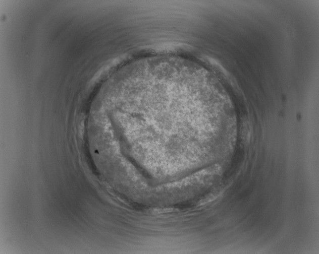 X0000081470495200702092343