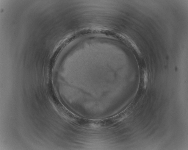 X0000081470496200702092343