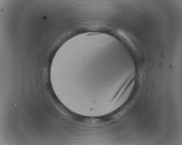 X0000081470497200702092343