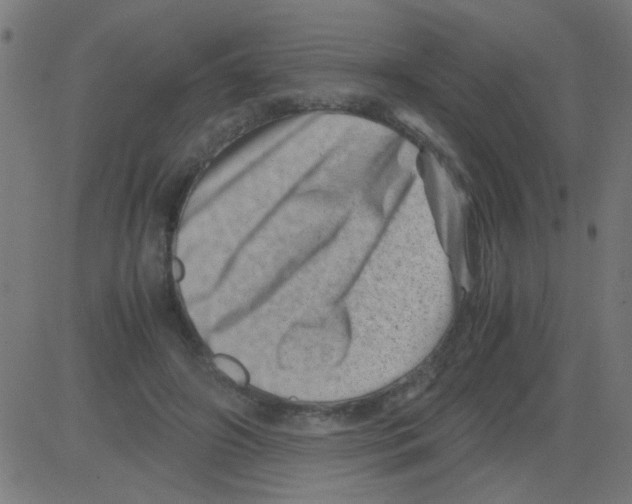 X0000081470498200702092343